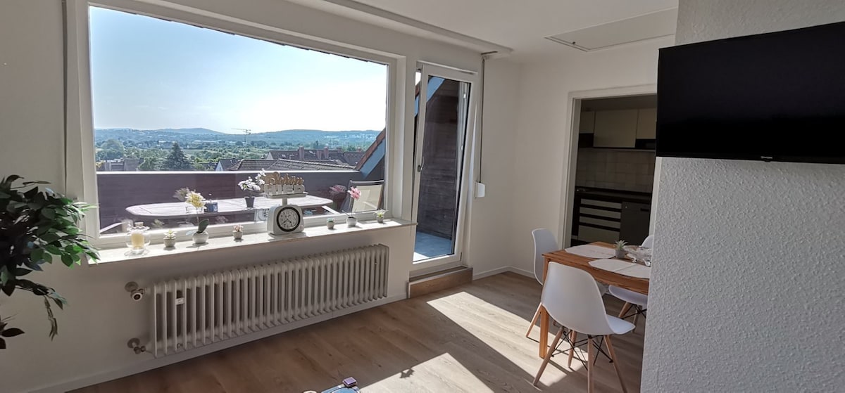 2-Zi-Wohnung mit Balkon und Taunus Blick