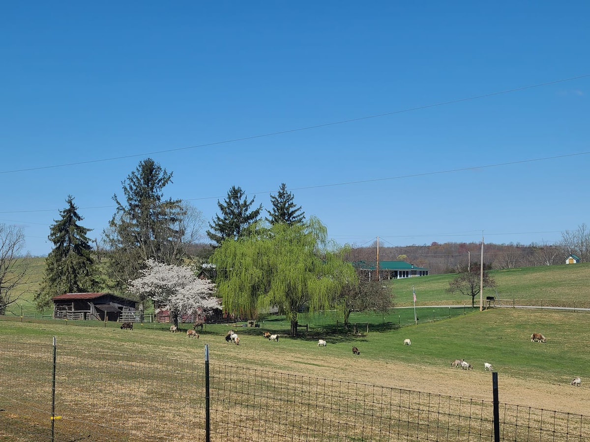 Sun Valley Farm Cottage