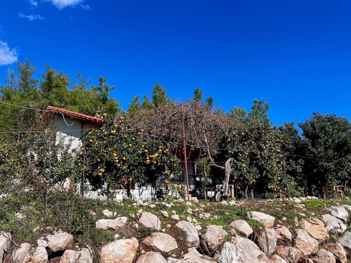 Olympos PoRtakal Village
Nature, Sea and You