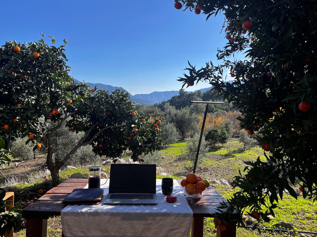 Olympos PoRtakal Village
Nature, Sea and You