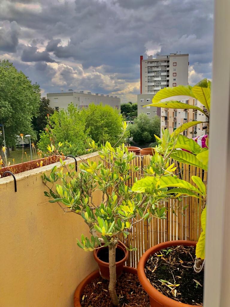 Une maison pleine de tendresse