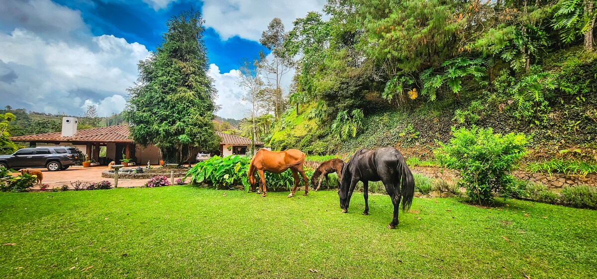 La Hacienda Colonial |  Pool | Amazing Place!