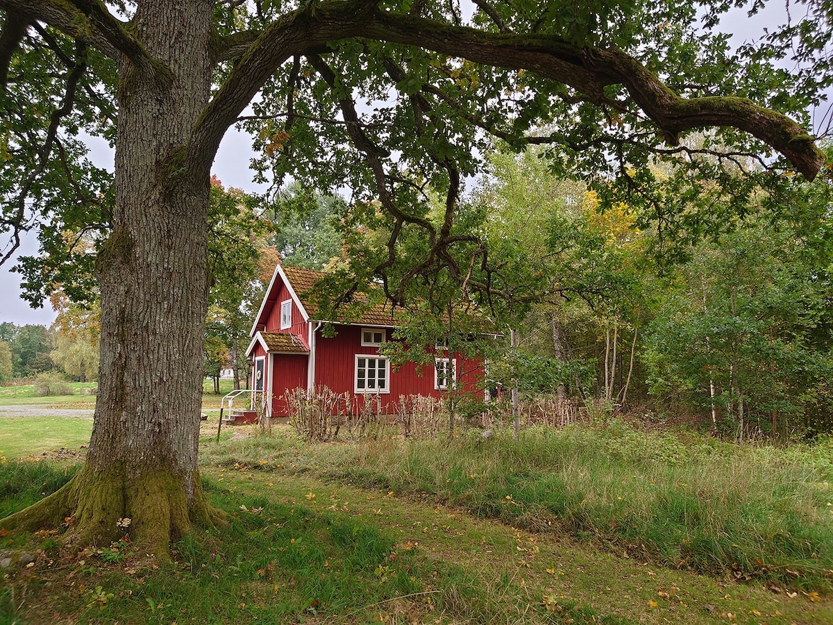 Vakantiehuis De grote eiken