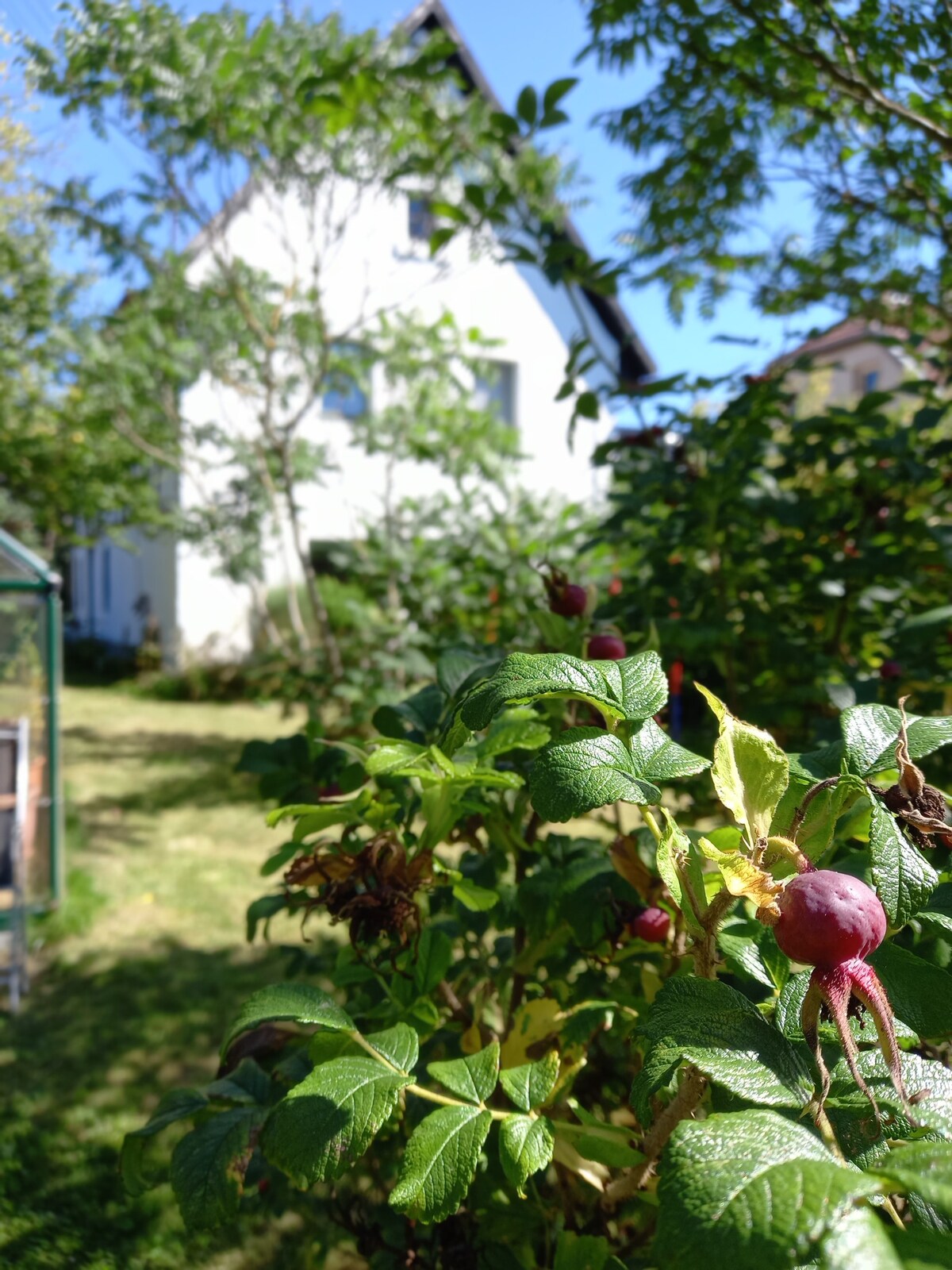 Gemütliches Fachwerkhaus mit großem Garten