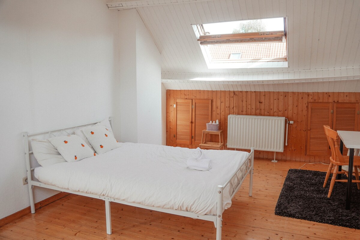 Brussels' cosy hidden gem: 28sqm private bedroom
