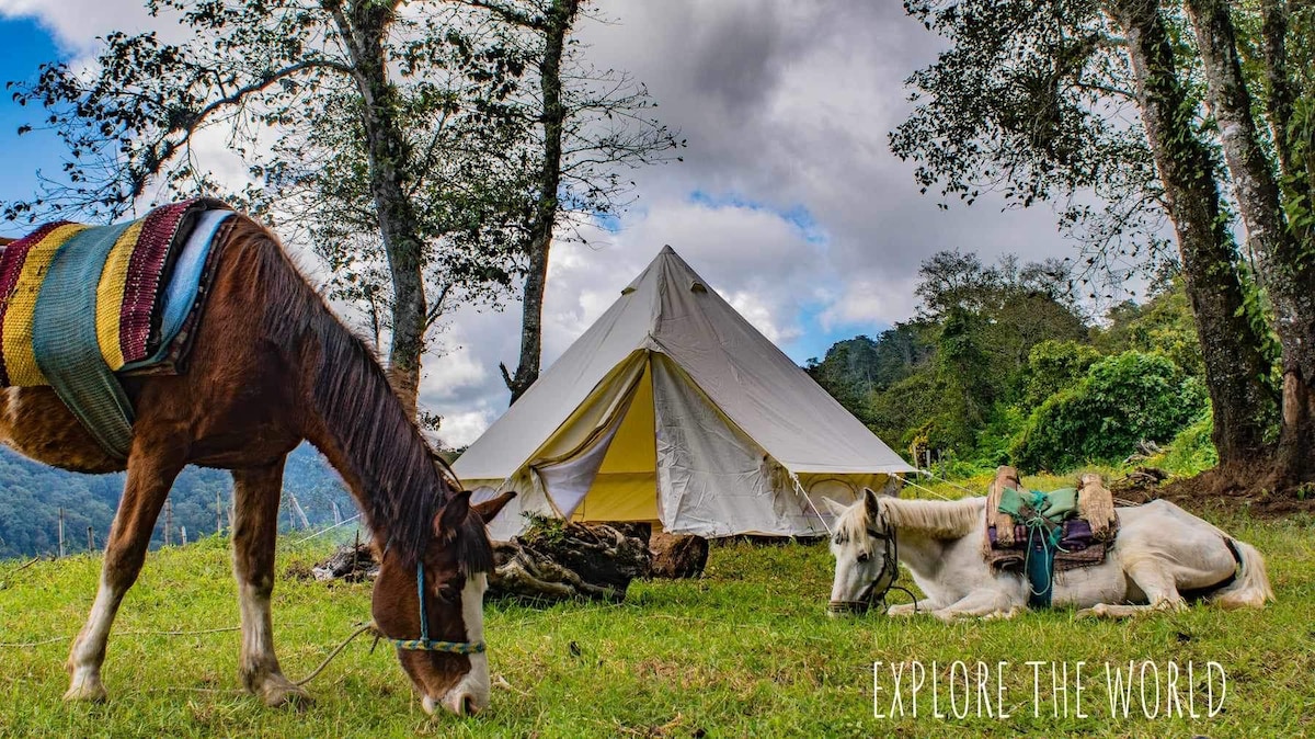 Mountain-Peak Camping W/Views