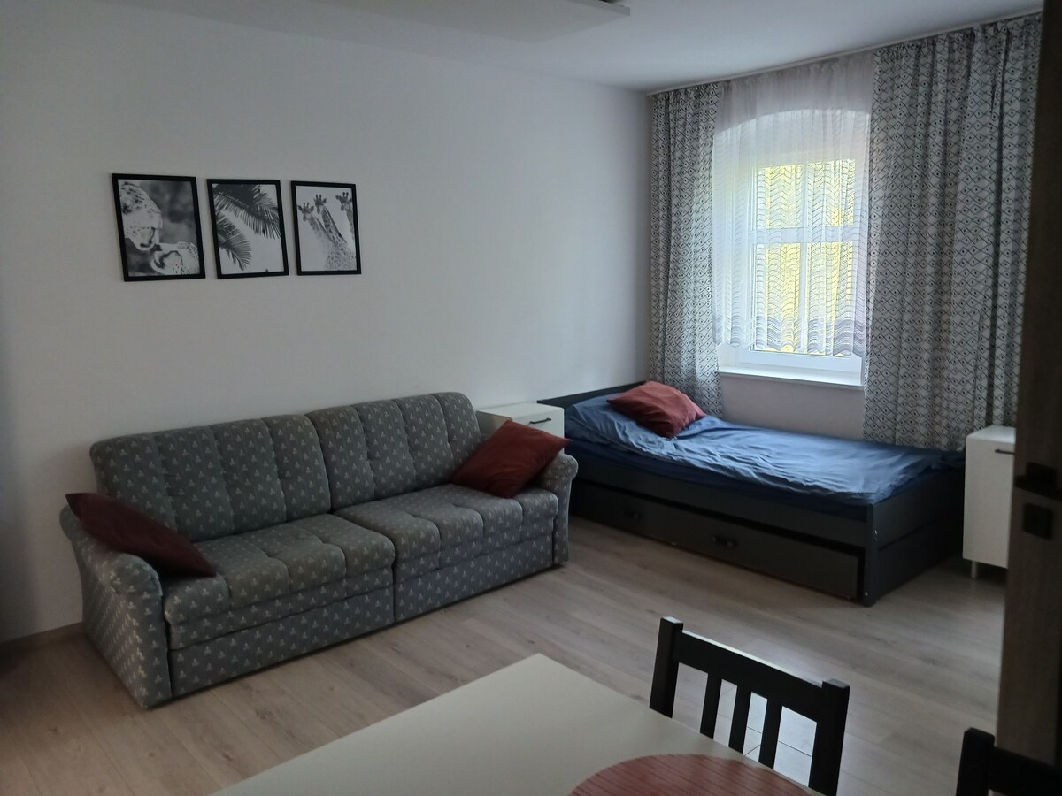 Wolska - 80m2- 7 people, 3 rooms