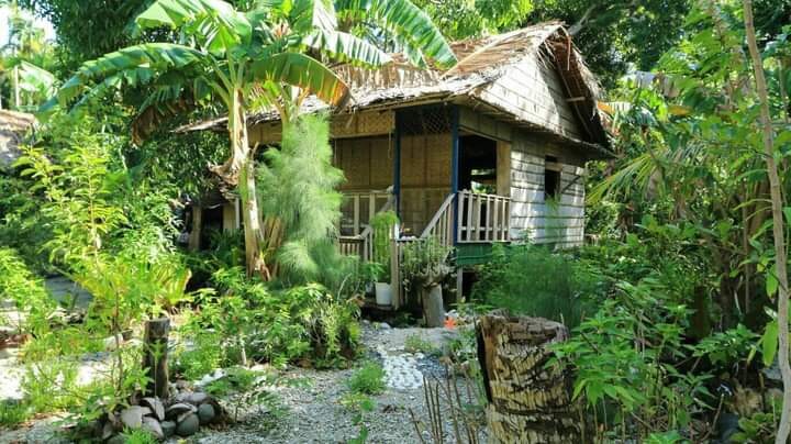 Real Paradise Village Homestay