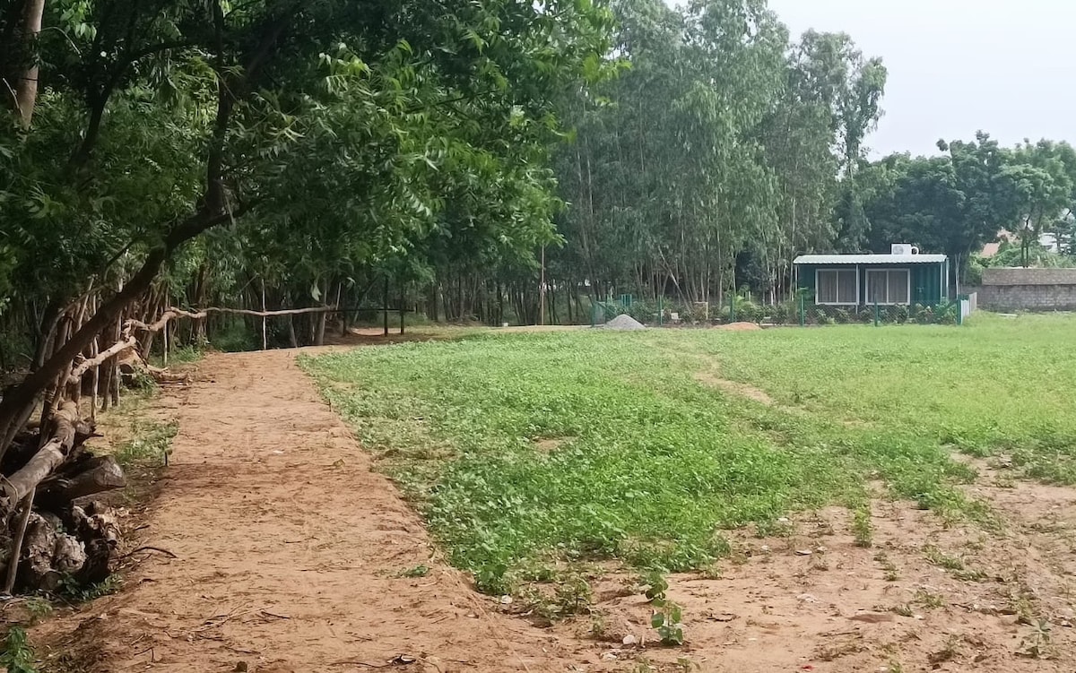 Cute Farm Cabin near the Beach