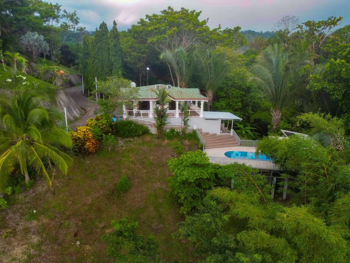 Hillside jungle house/ocean view and pool