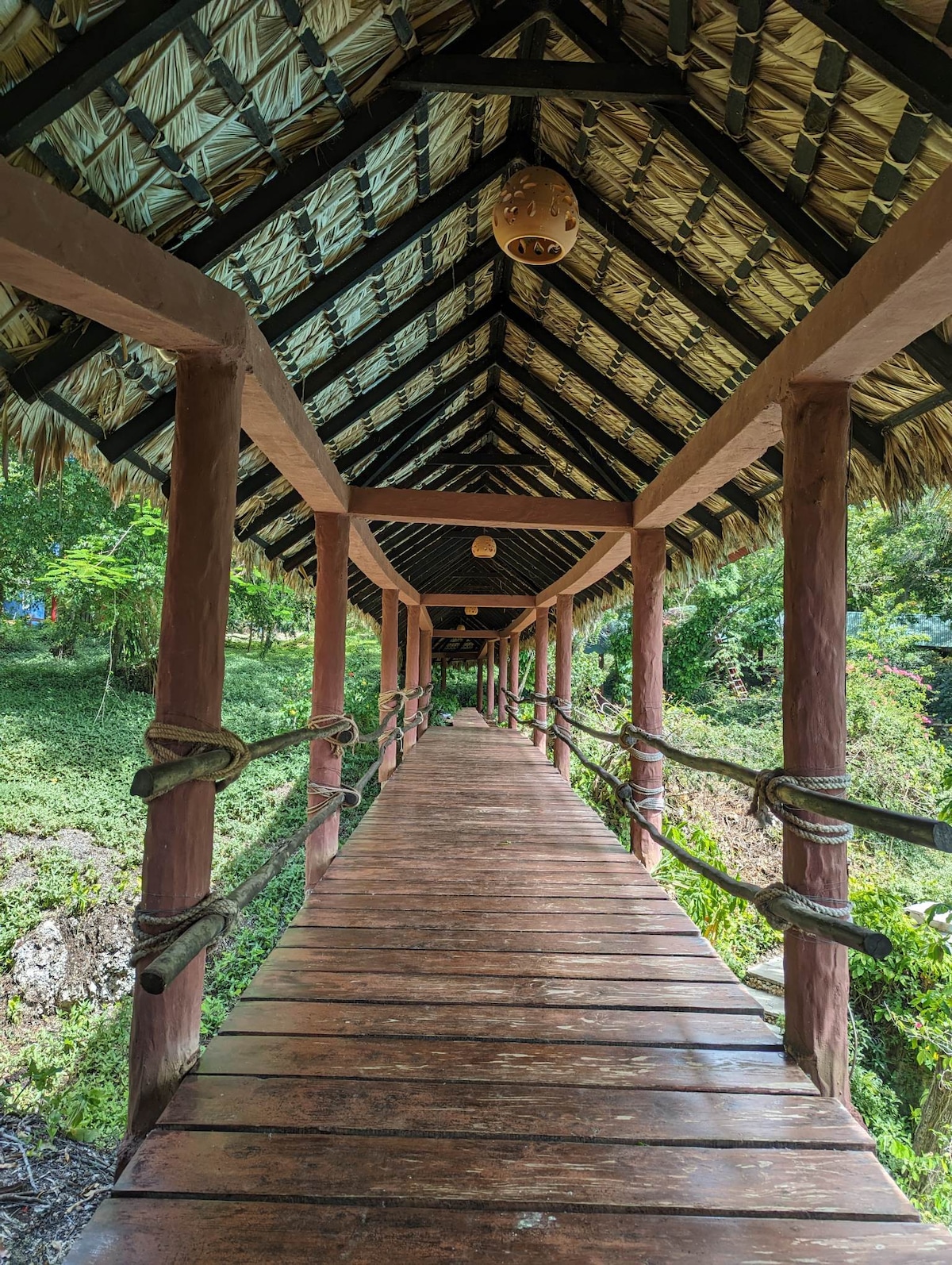 Symmetry Oasis-Jungle Retreat