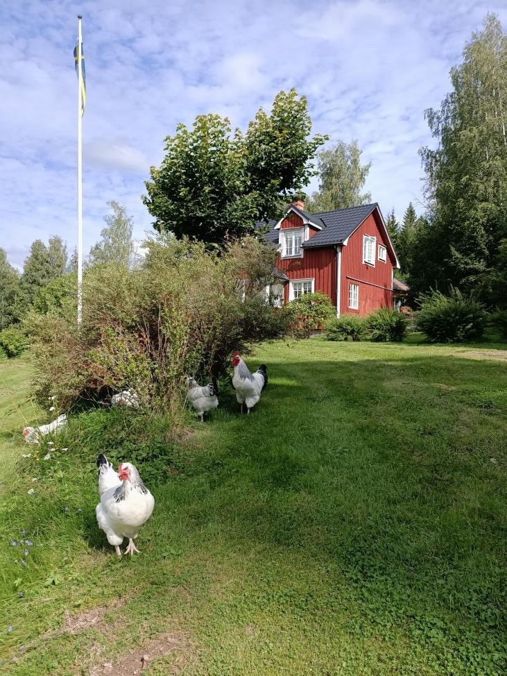 Bergshus på Pionjärgård