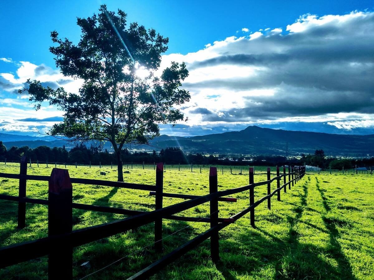 La finca de Semecé