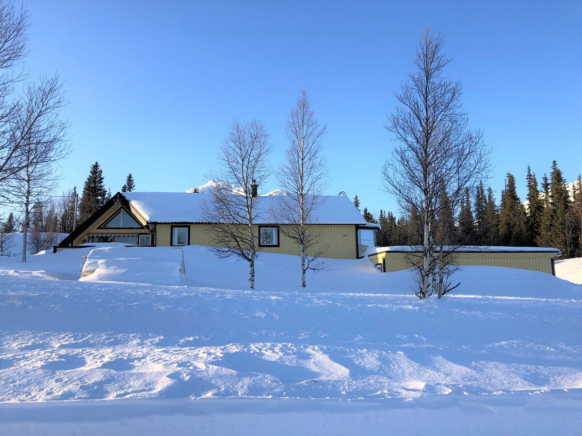 位于Grönfjäll的宽敞房子