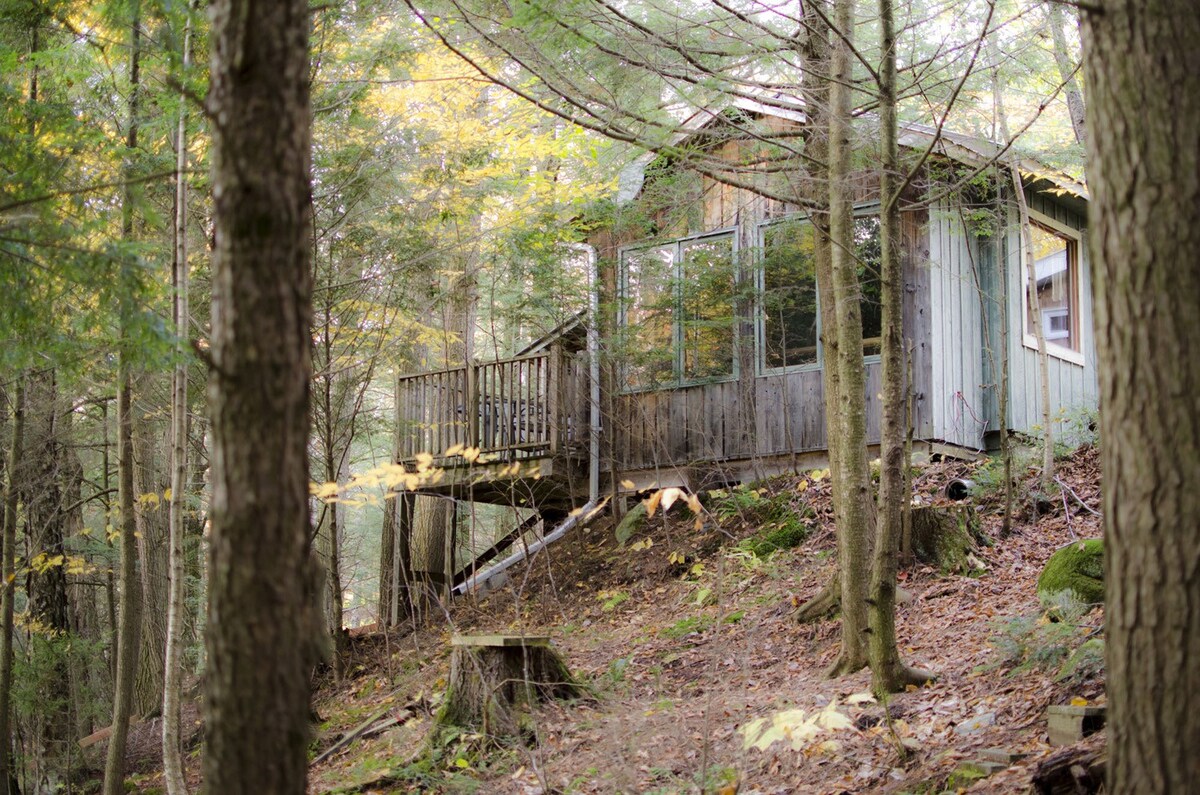 Chalet en forêt au bord de l'eau