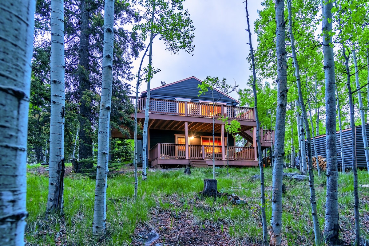 Cozy Cabin in the trees, 20% off select May dates!