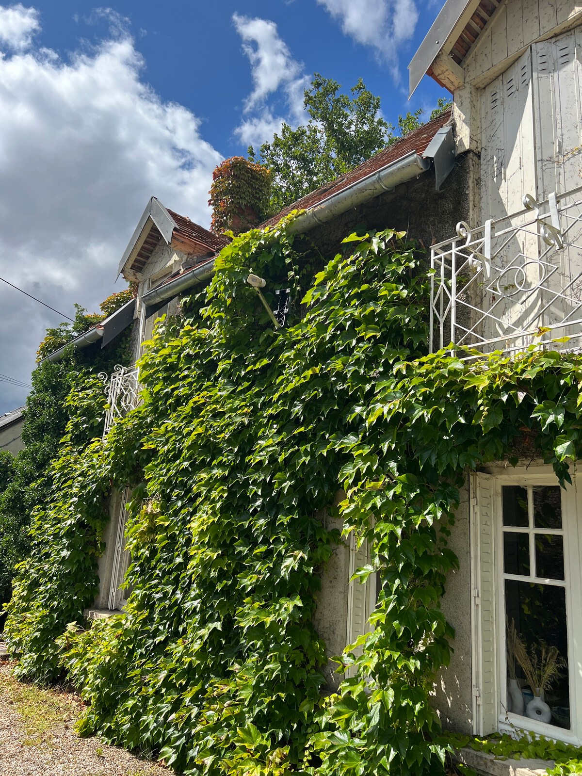 勃艮第的Maison & Pool in the Bourgogne