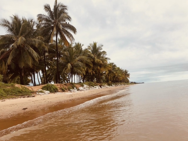 Grand studio meuble climatise Kourou