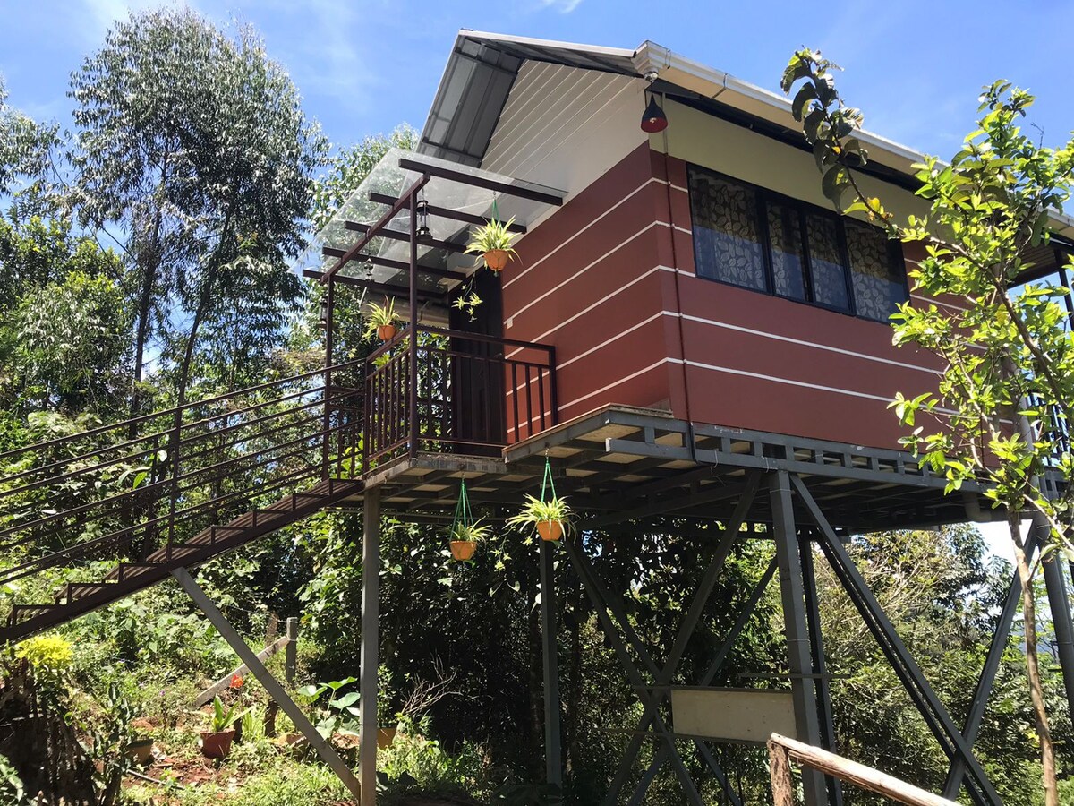 One bedroom stay munnar