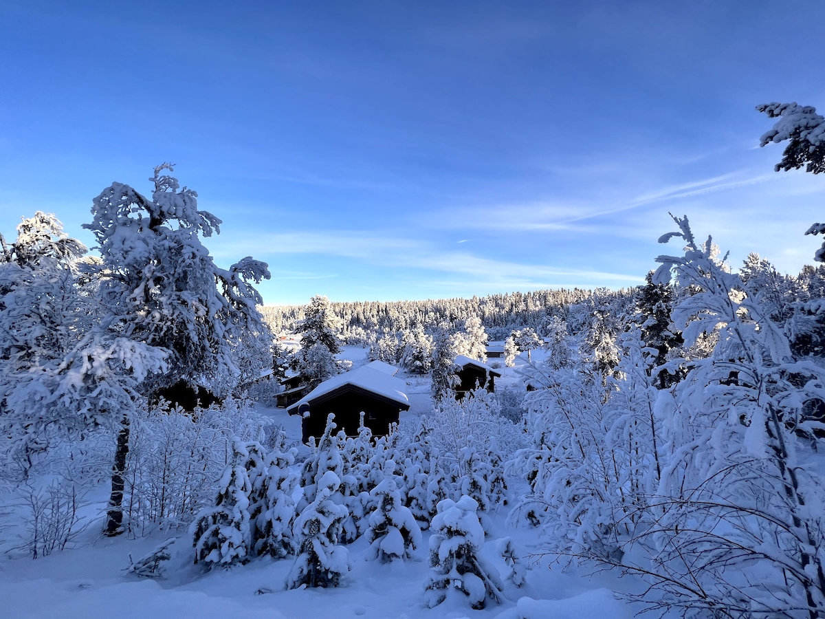 Friisvegen Måsåplassen Stabburhytte 7