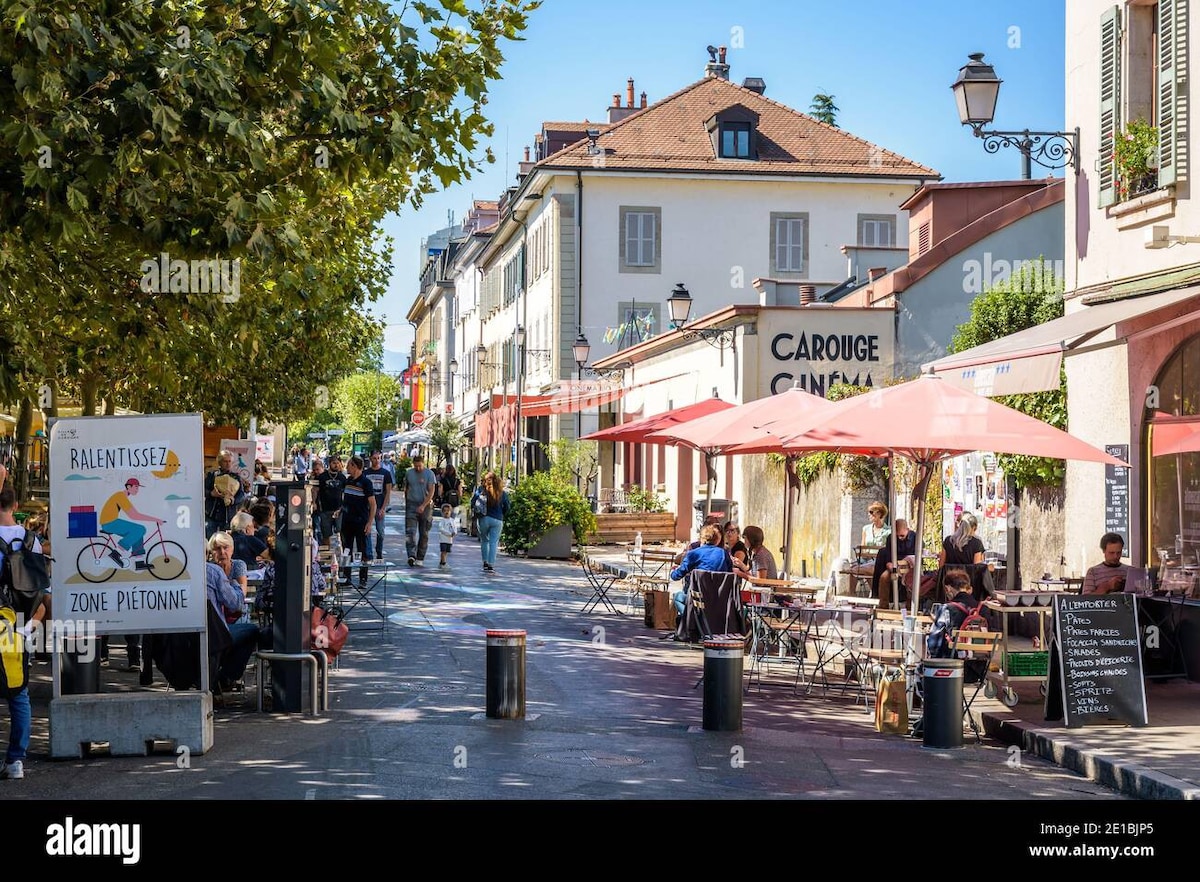 日内瓦Carouge Carouge Geneva家具齐全的客房