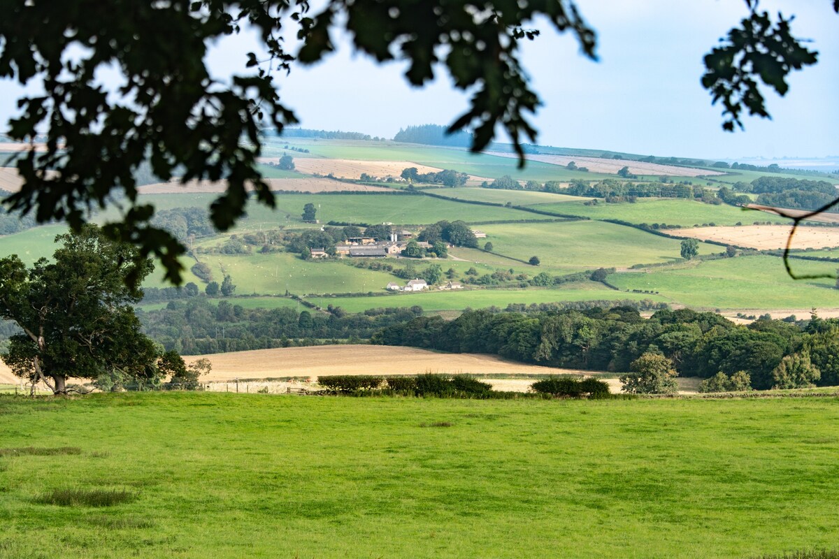 The Kennels