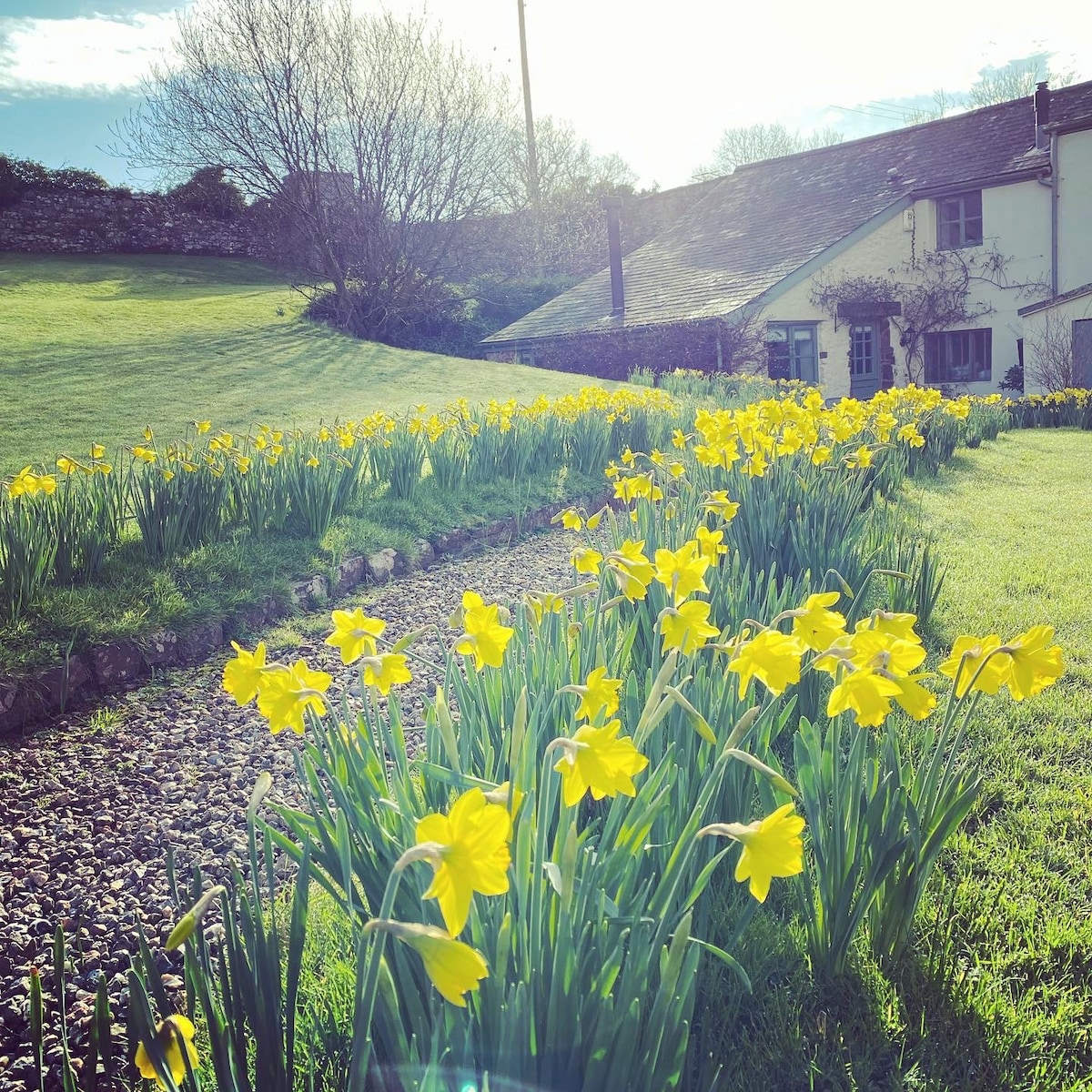 Idyllic, peaceful converted 19th Century Barn