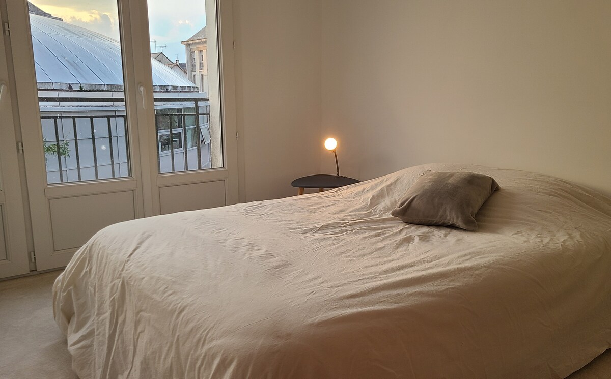 Chambre dans appartement en centre ville