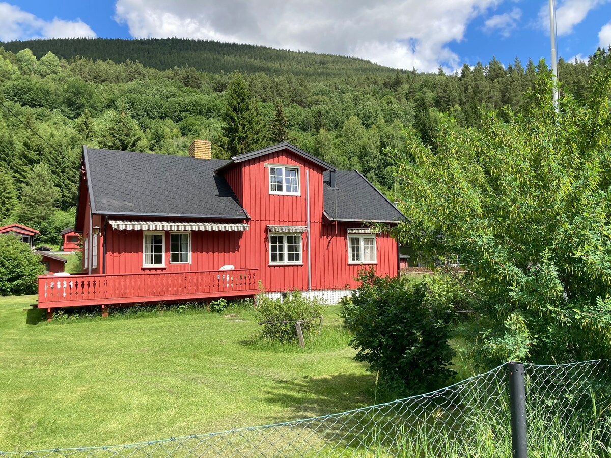 karakteristisk norsk familiehjem