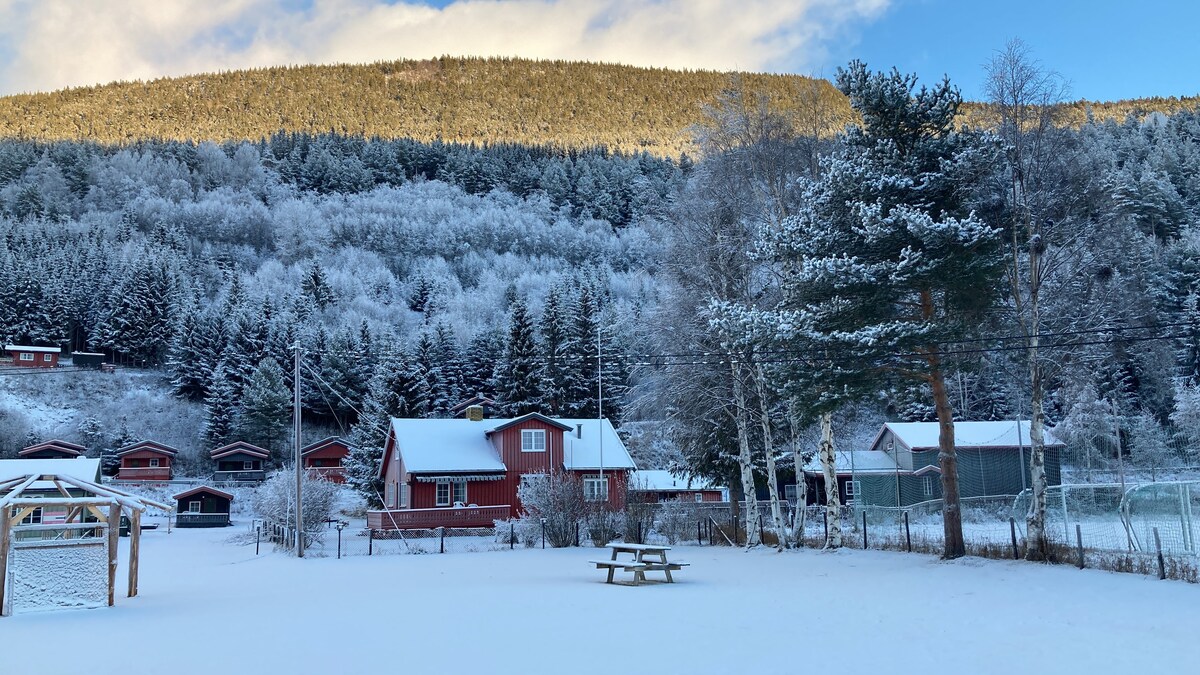 karakteristisk norsk familiehjem