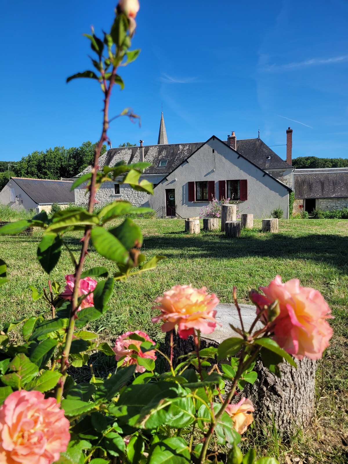 Bulle de campagne chez un sommelier