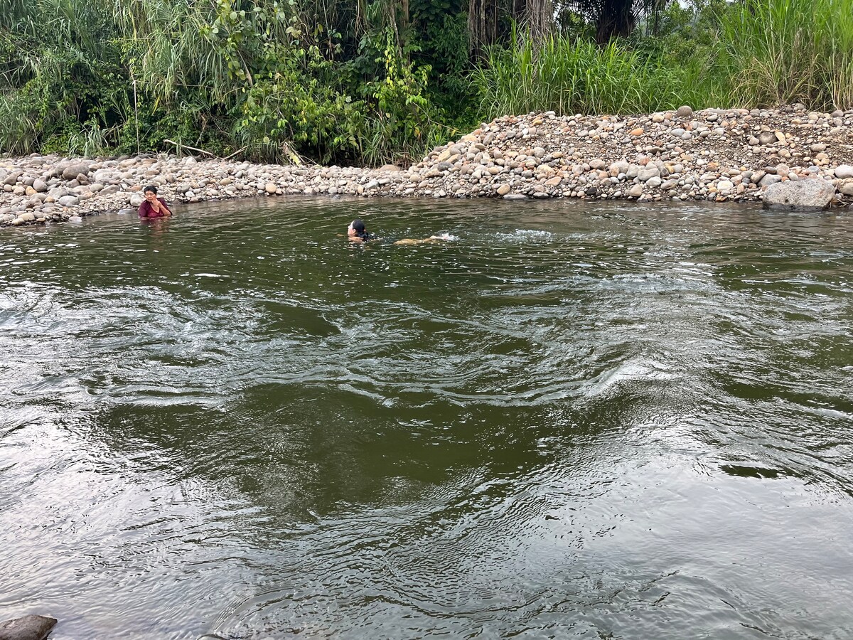 Alojamiento cabaña Puyo Pomona con piscina y rio