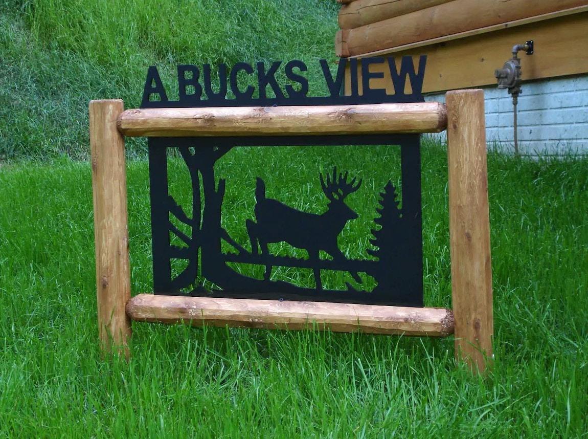 A Buck's View