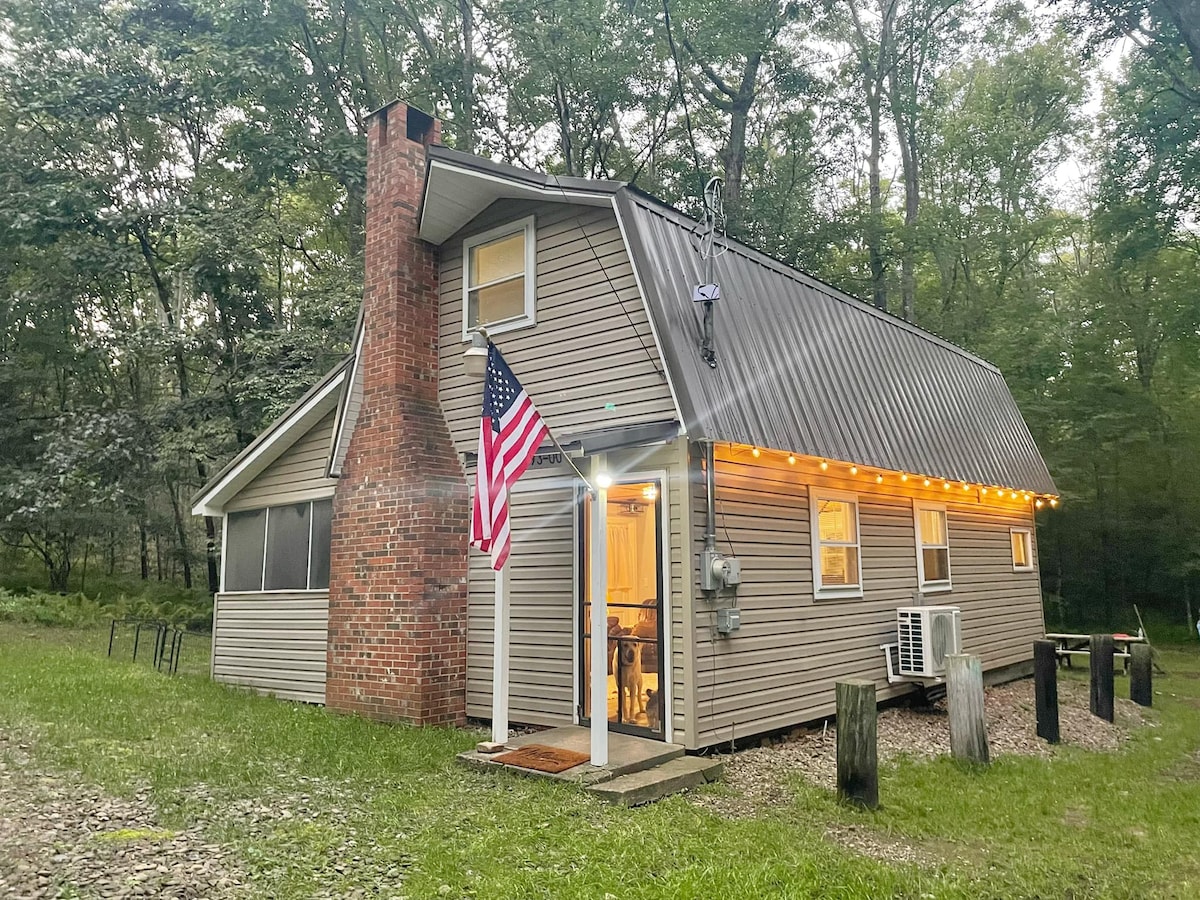 Secluded cabin in the Allegheny National Forest!