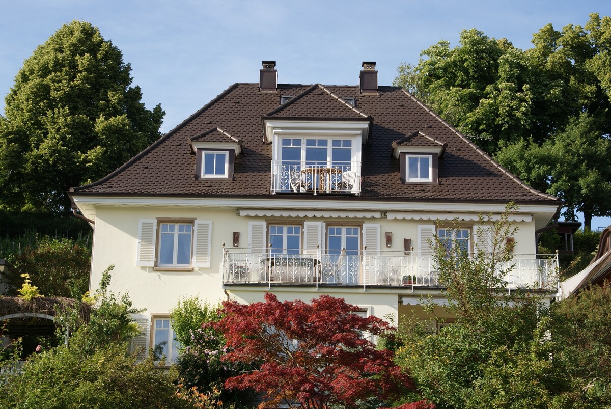 Seeblick, XXL Balkon und Garten, 1. OG