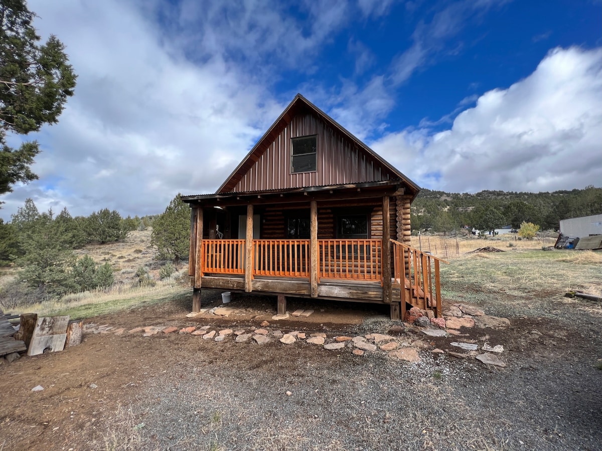 The Cranky Canard - High Desert Log Cabin