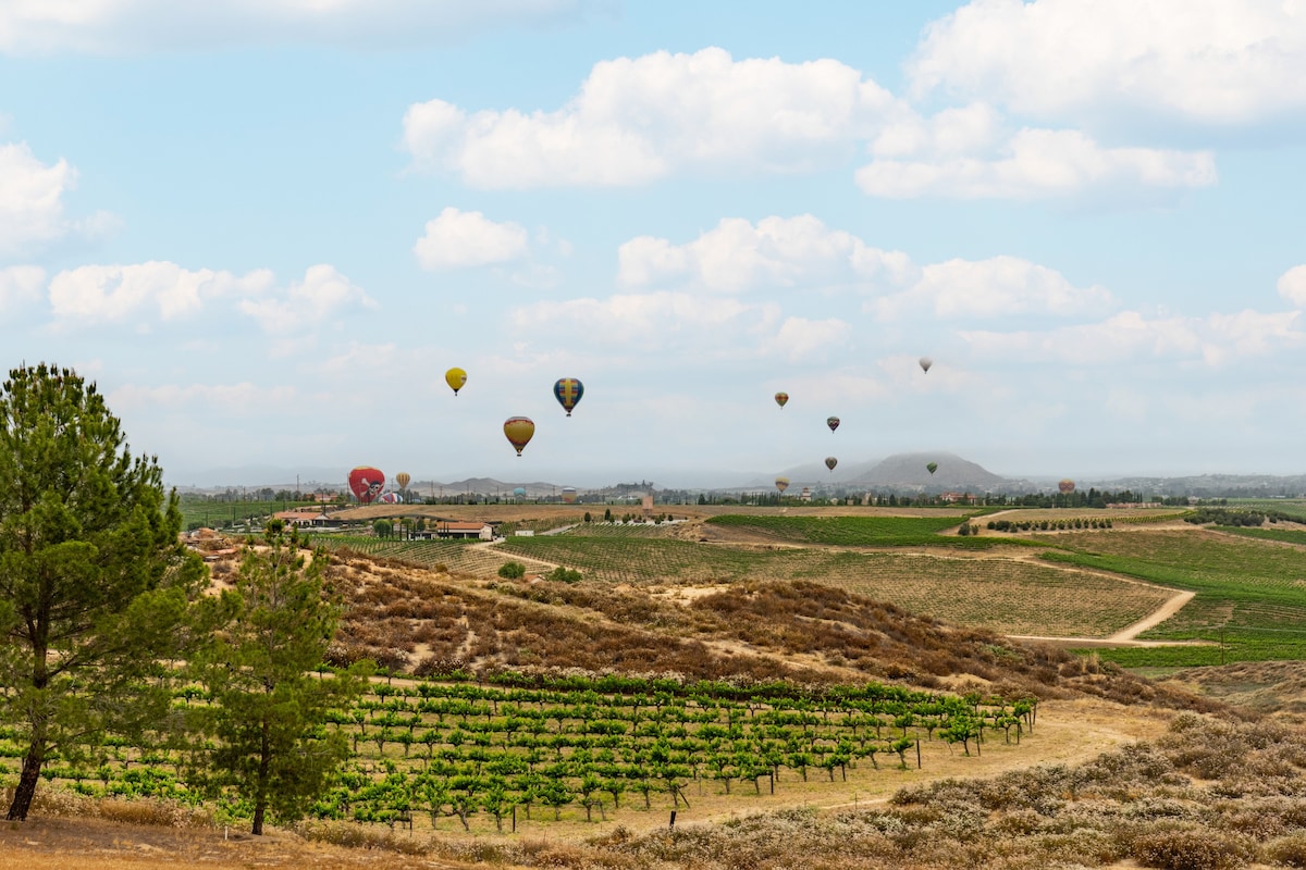 巴罗洛别墅（ Villa Barolo-Vineyards ）景观，热水浴缸，允许携带宠物入住