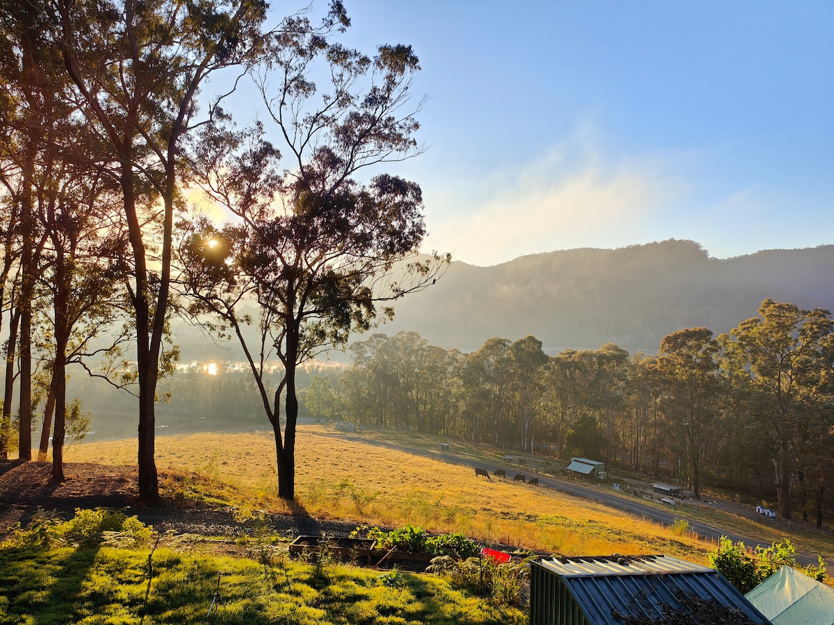 The Little Chooks Farm