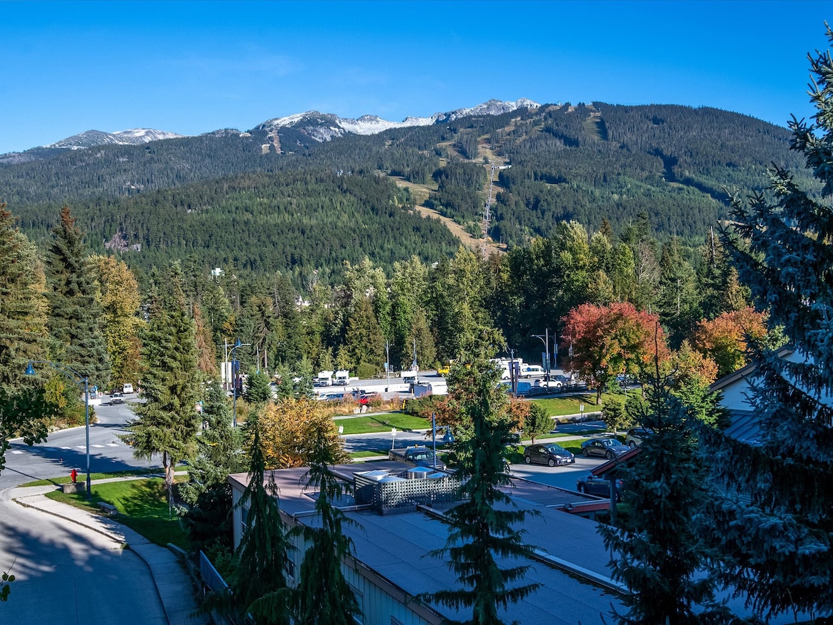 Ski in the Heart of Whistler! free prkng fast wifi