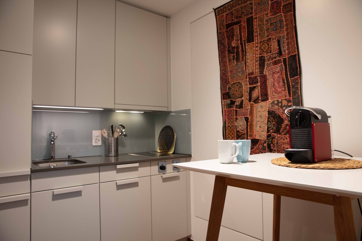 Modernes 2-Zimmer-Studio mit Küche und Bad | 401
