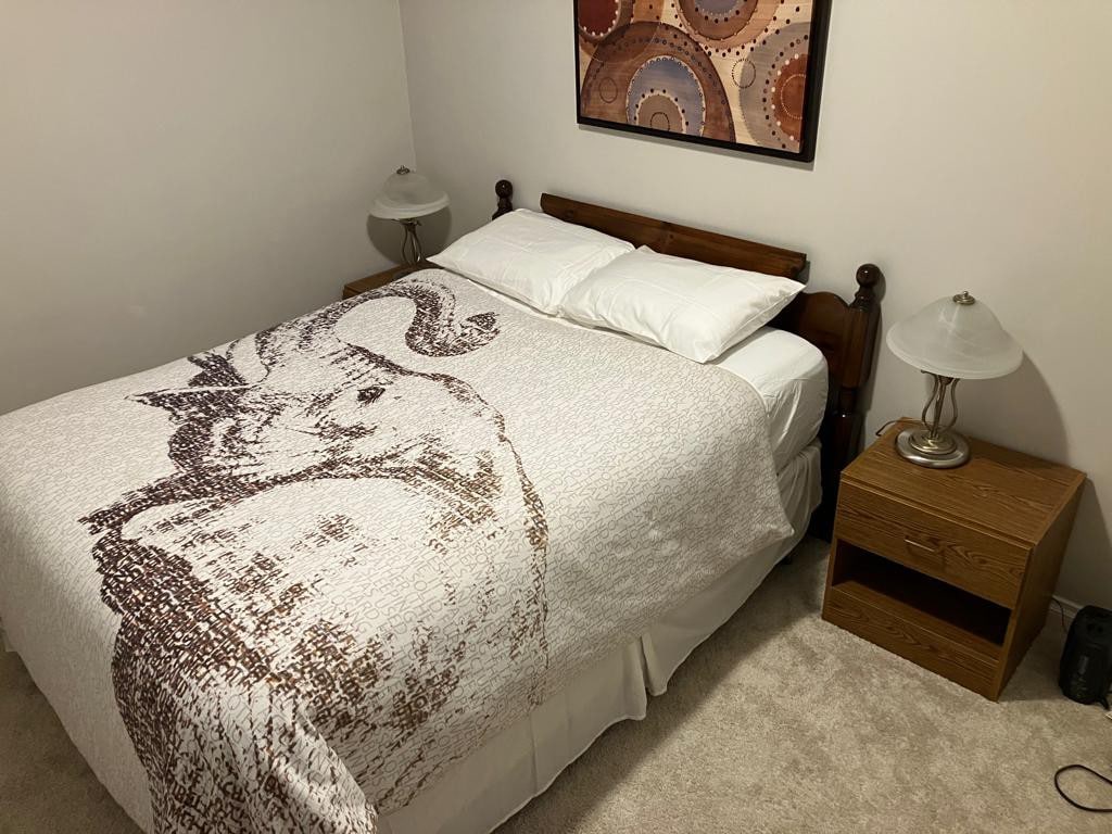 2 Bedroom Walkout Basement Suite - Wooden Elephant