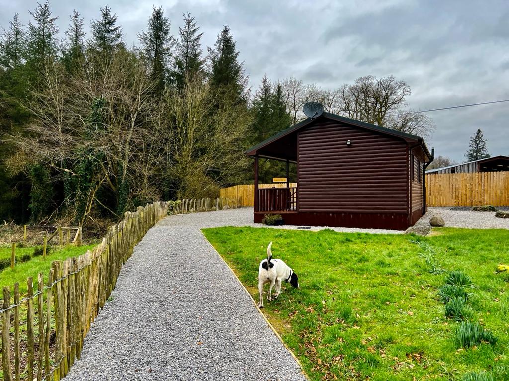 Oak Tree Cabin on Country Estate - Pet Friendly