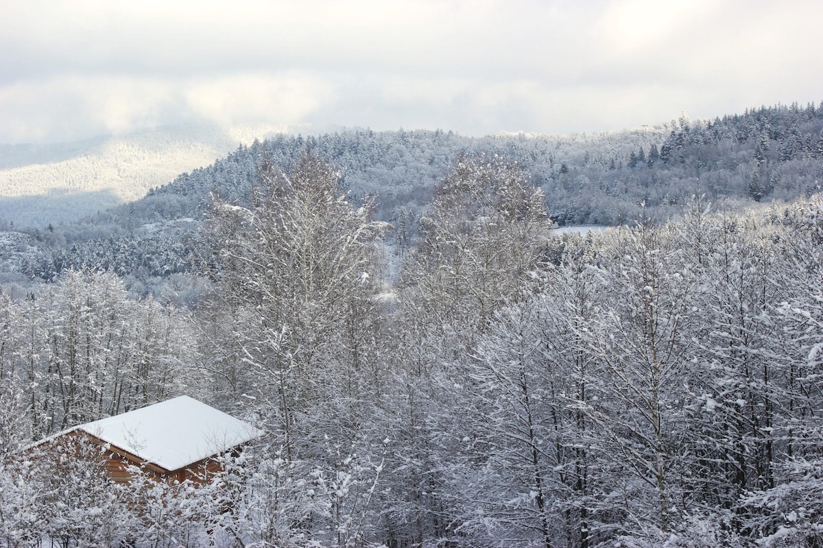 Cabane somnambule