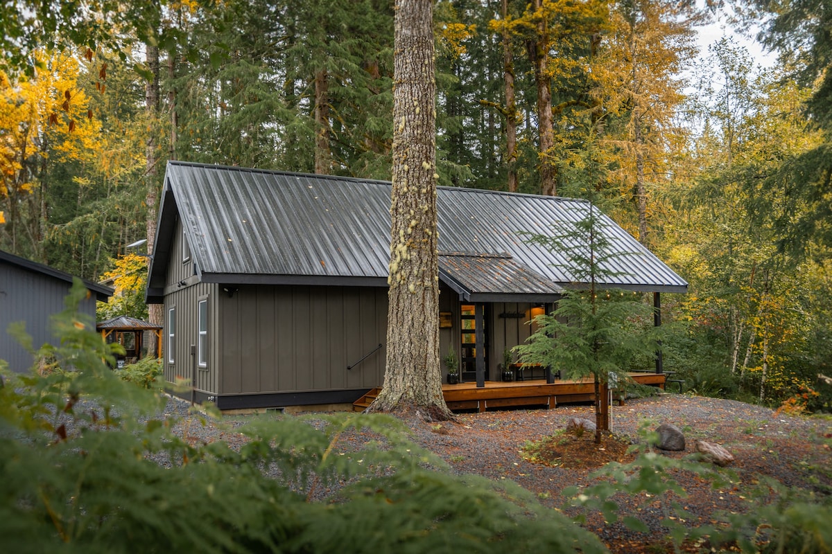 全新现代小木屋，带热水浴缸，距离雷尼尔山（ Mt Rainier NP ） 5英里