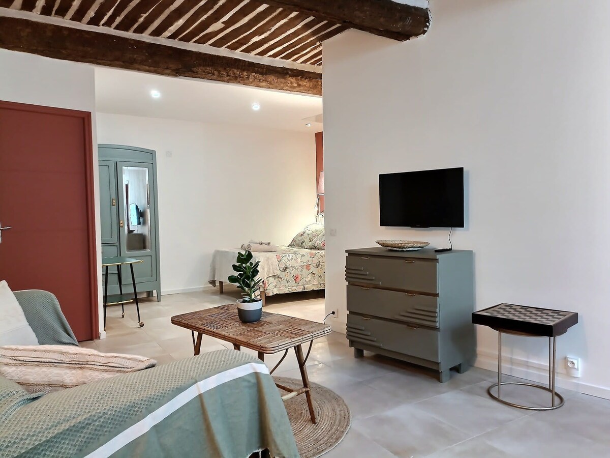 Studio air-conditioned village center of Rognes