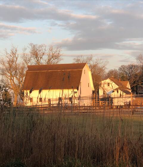 The Farm