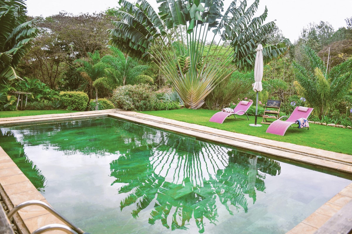 Stunning modern villa with swimming pool