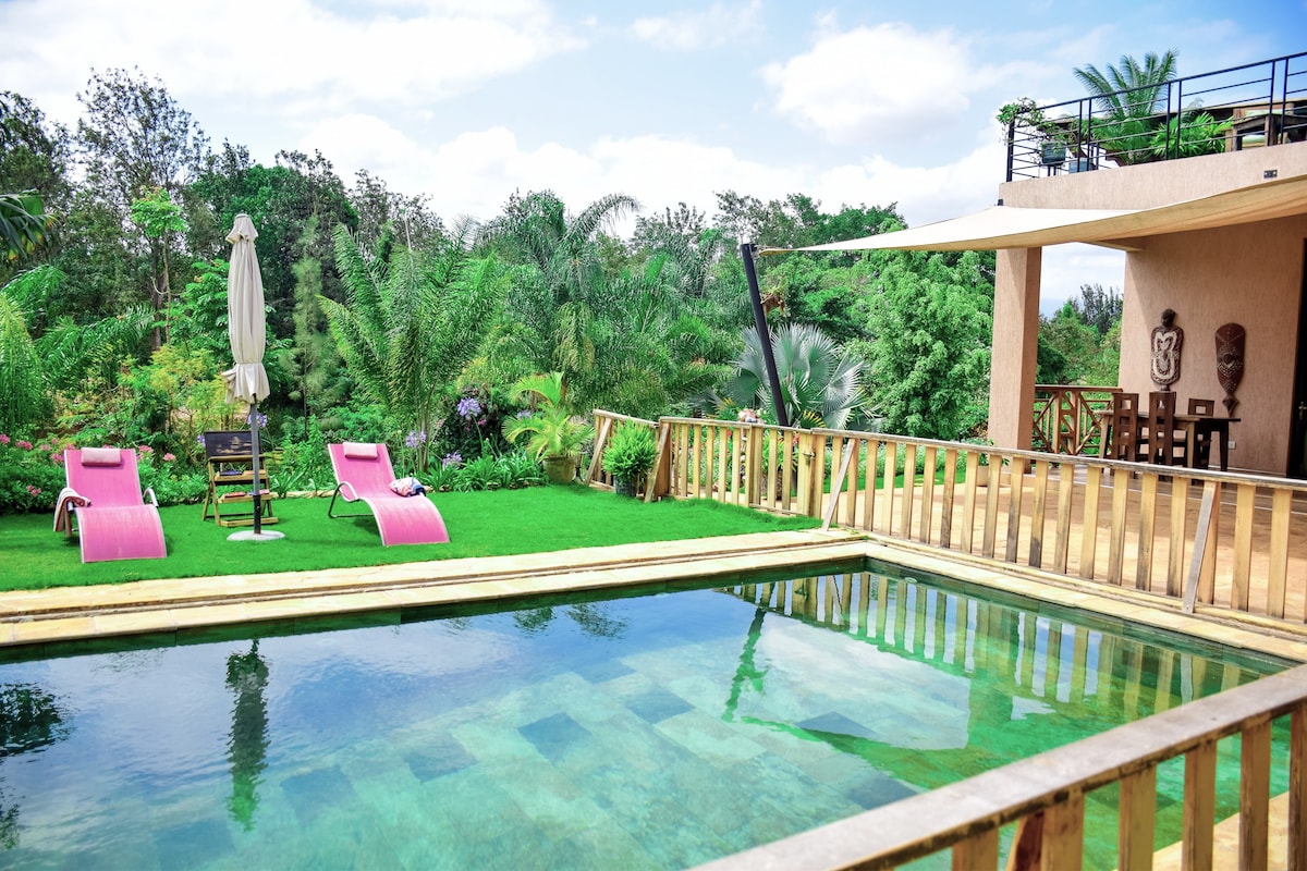 Stunning modern villa with swimming pool