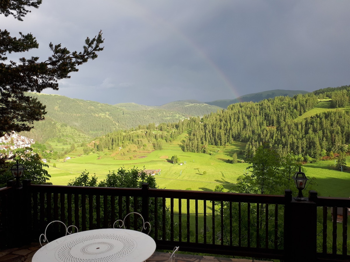 Maison familiale vue panoramique - Beuil/Valberg