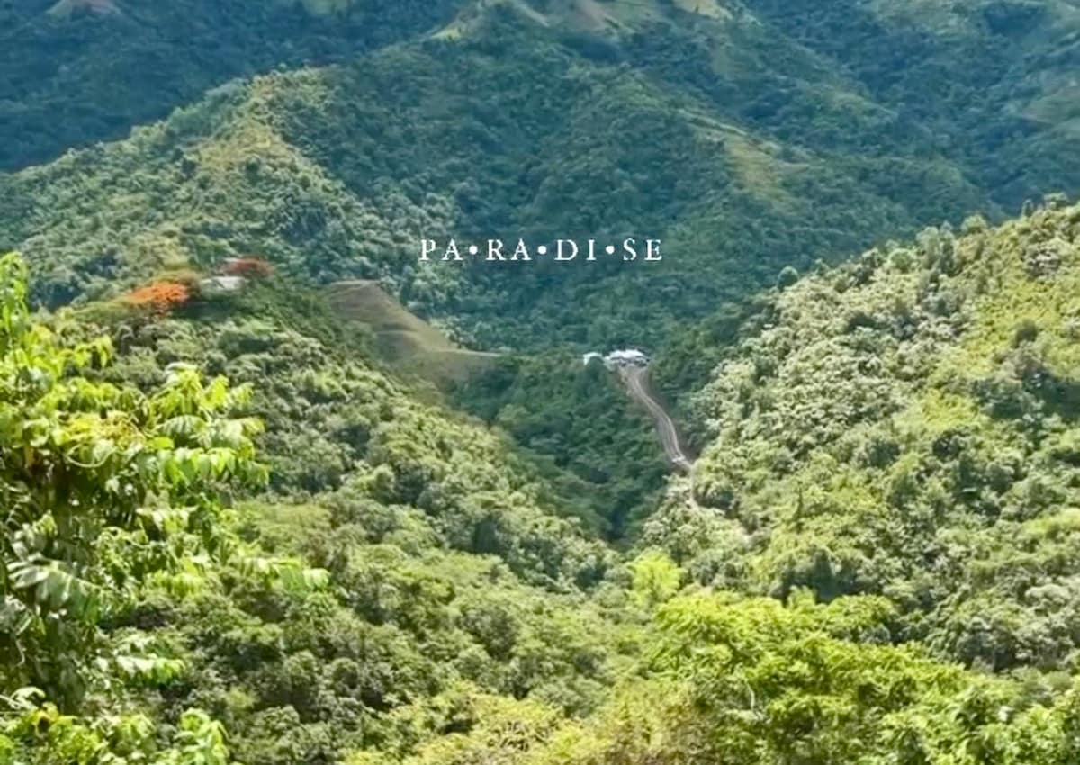 Paradise Ciales W/ Private Climatized Pool